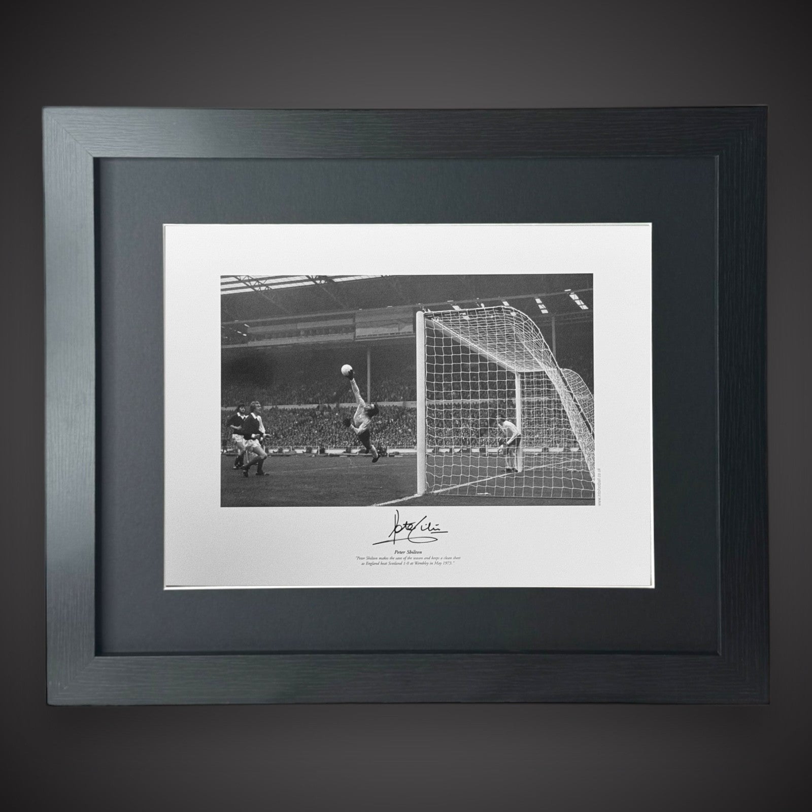 FRAMED PETER SHILTON Hand Signed 1973 Photo 16X120