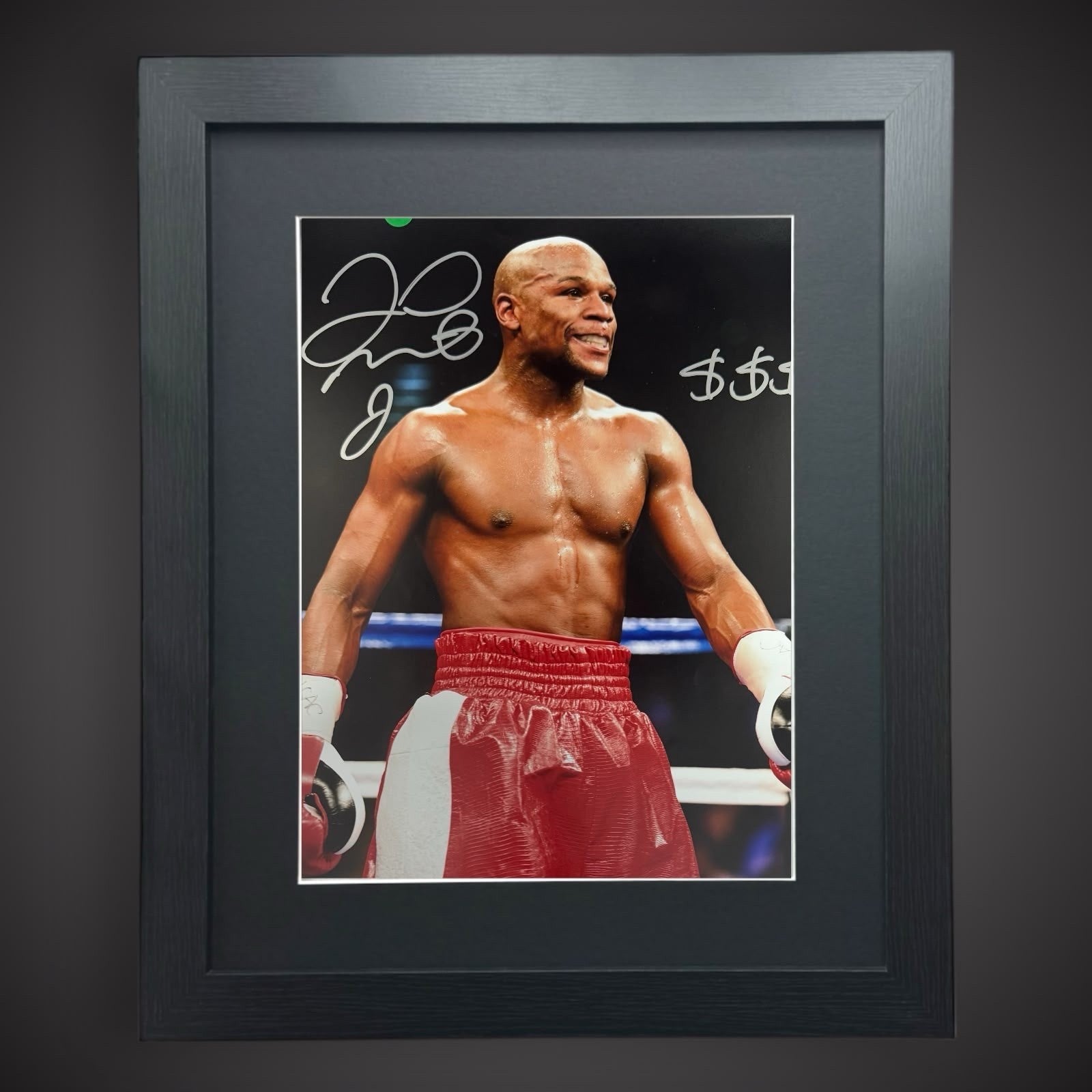 Floyd Money Mayweather  Hand Singed Framed  12x16 Photograph £549 With COA0