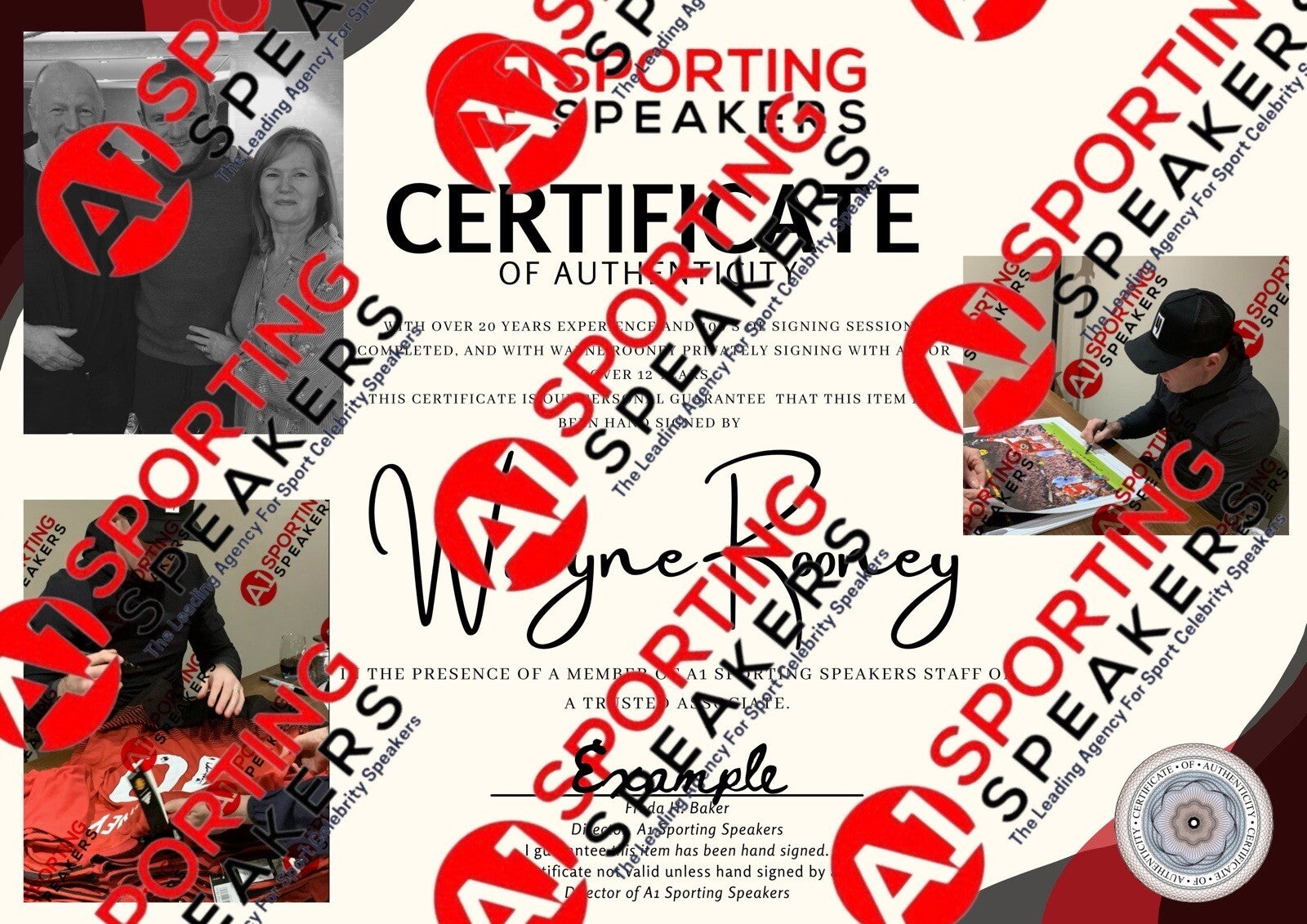 Wayne Rooney Hand Signed 2012/13 Deluxe Framed England Shirt With COA £2254