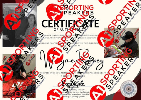 Wayne Rooney Hand Signed 2010/11 Deluxe Framed Manchester United Shirt  £2254