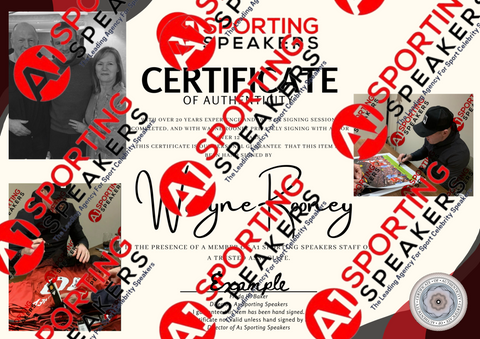 WAYNE ROONEY Manchester United Hand Signed And Framed Football Shirt £2494