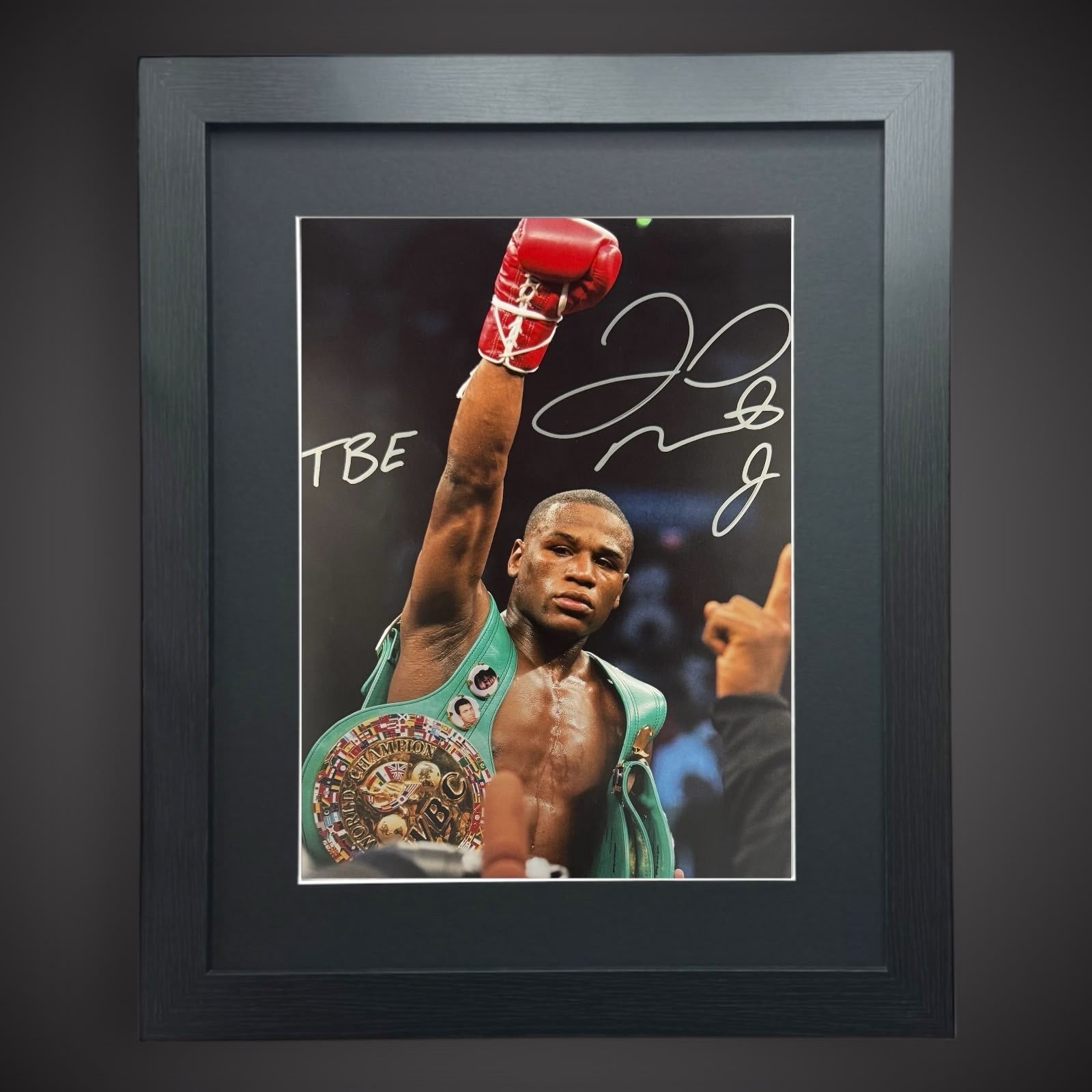 Floyd Money Mayweather  Hand Singed Framed  12x16 Photograph £549 With COA0